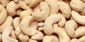 Cashew Nuts
