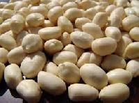 Blanched Groundnut Kernel