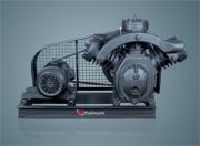 Two Stage Dry Vacuum Pumps