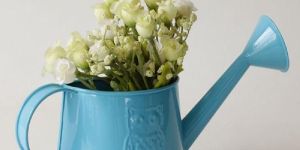 Garden Watering Cans