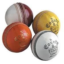 Leather Cricket Balls