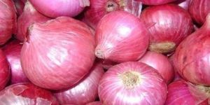 Red Onion