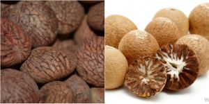 Betel Nuts