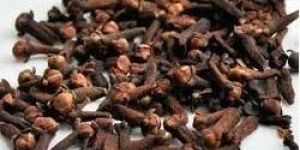 Clove Pods