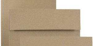 Brown Paper Envelopes