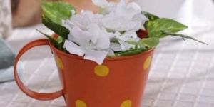 Orange Small Polkadots Cups