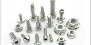 Heavy Duty Shield Anchor