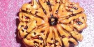 10Mukhi Rudraksha