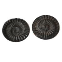 Vishnu Chakra Saligram