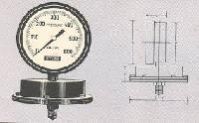 Capsule Type Low Pressure Gauge