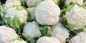 Fresh Cauliflower