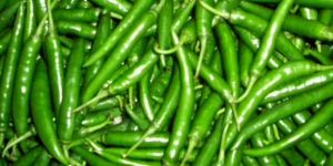 Fresh Green Chilli