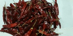 Guntoor Dried Red Chilli