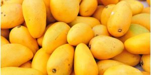 Fresh Mango