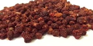 Gloriosa Superba Seeds