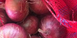 Red Onion
