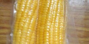 Frozen Sweet Corn