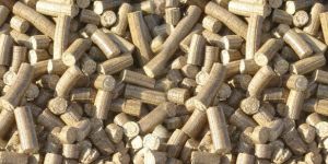 Bio Coal Briquettes