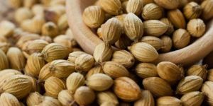 Coriander Seed