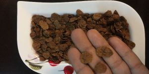 Quinoa Flakes