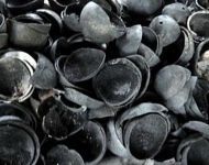 Coconut Shell Charcoal