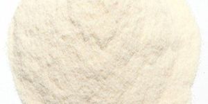 Bacteriological Grade Agar Powder