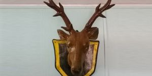 FRP Deer Statue