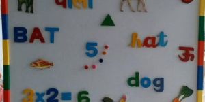 Magnetic Educational Kit