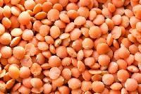 Split Red Lentils