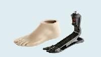 Prosthetic Foot