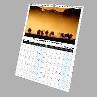 Printed Wall Calendar