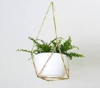 Hanging Planter
