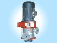 Vertical Sealless Glandless Pump