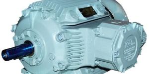 Flame Proof Motors