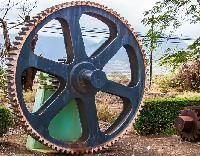 Gear for Sugar Mill