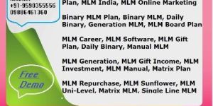Evel Target, MLM Net Workers, Simple MLM, Tree Structure, Binary Struc