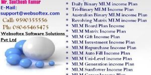 Orbit Income Plan   MLM Dairy, Referral Program, Binary-Repurchase, Le
