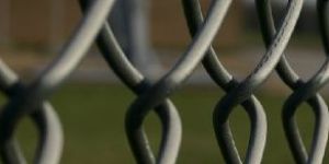 Chain Link Fence