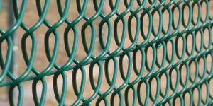 Chain Link