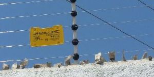 Electric Fencing