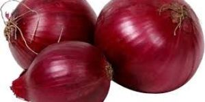 Fresh Red Onion