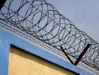 Barbed Razor Tape Concertina Coil