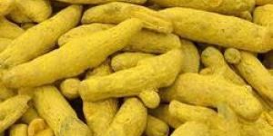 Turmeric Finger