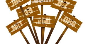 Web Hosting Services