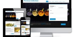 Website Design and Development