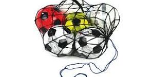 Ball Carry Net
