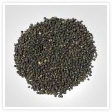 ORID SEEDS
