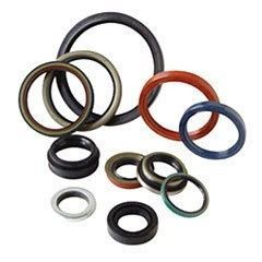 Oil Seals