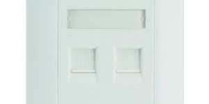 Dual Port Networking Faceplate