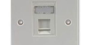 Single Port Networking Faceplate